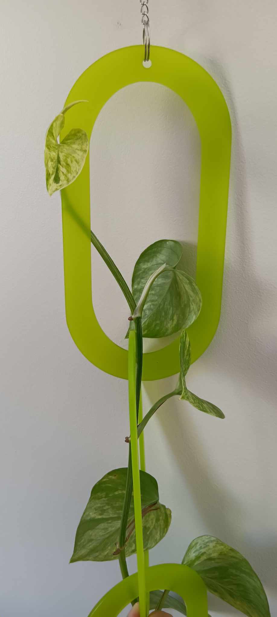 GROWING CHAINS PLANT SUPPORT - LARGE